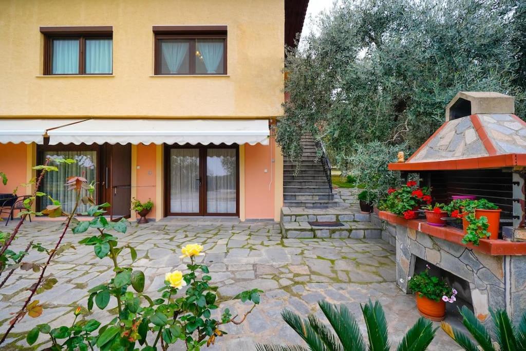 Skala Rachoni  Olive'S Houseヴィラ エクステリア 写真