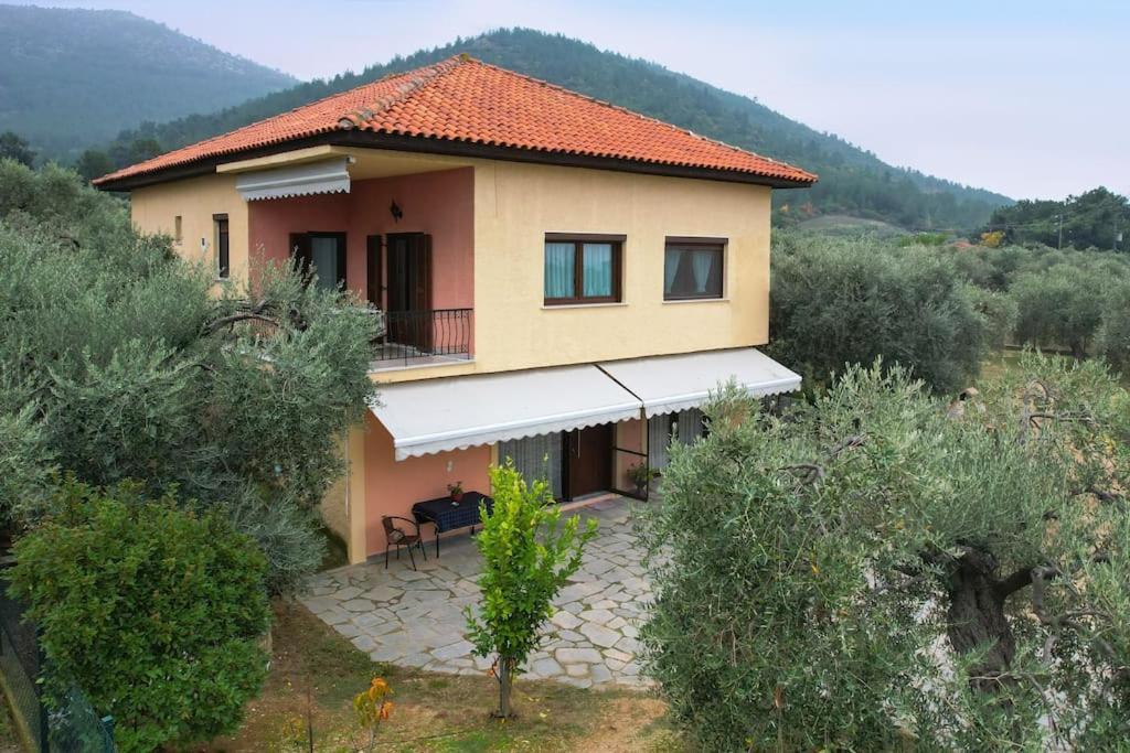 Skala Rachoni  Olive'S Houseヴィラ エクステリア 写真