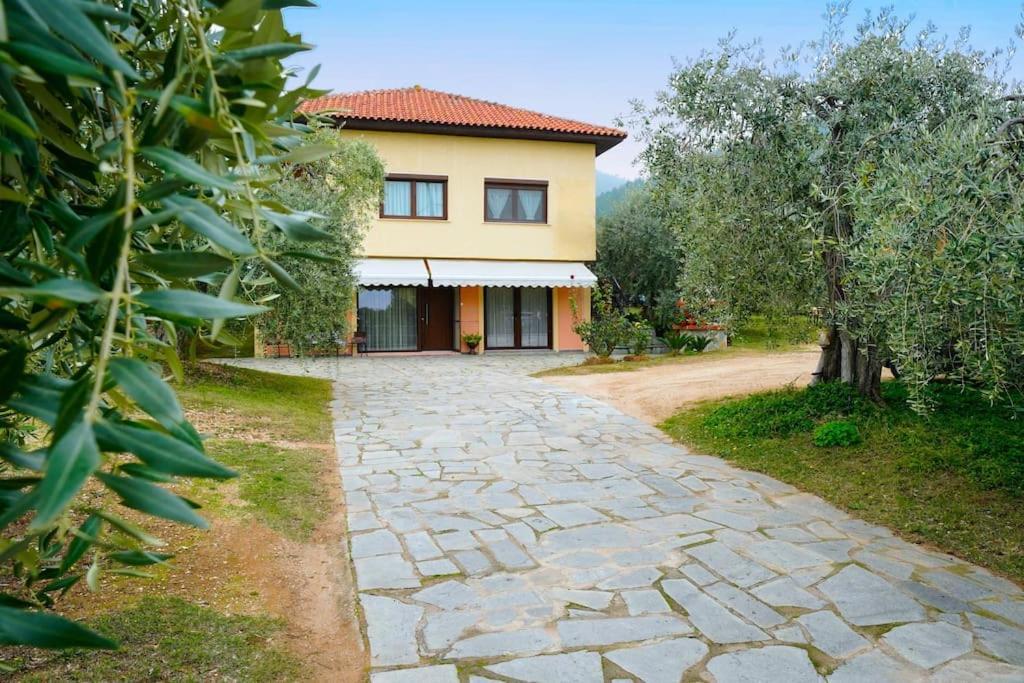 Skala Rachoni  Olive'S Houseヴィラ エクステリア 写真
