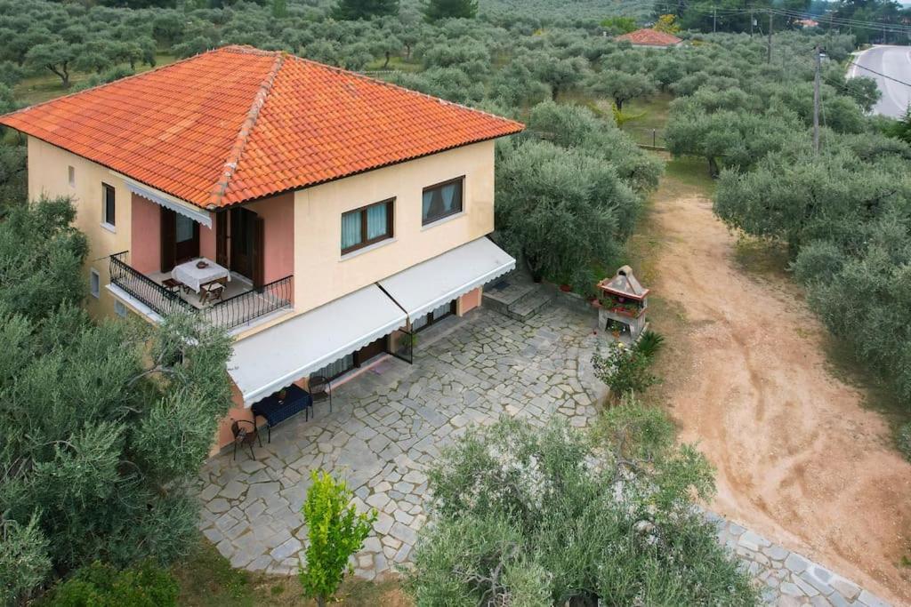 Skala Rachoni  Olive'S Houseヴィラ エクステリア 写真