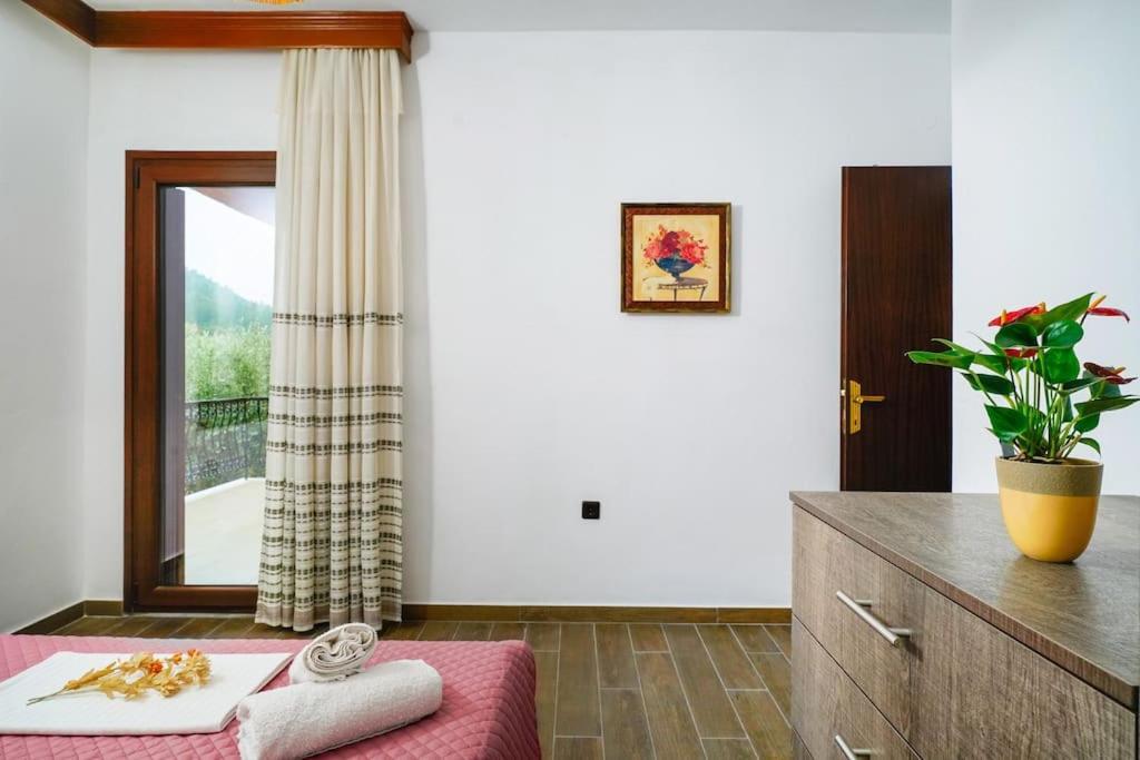 Skala Rachoni  Olive'S Houseヴィラ エクステリア 写真