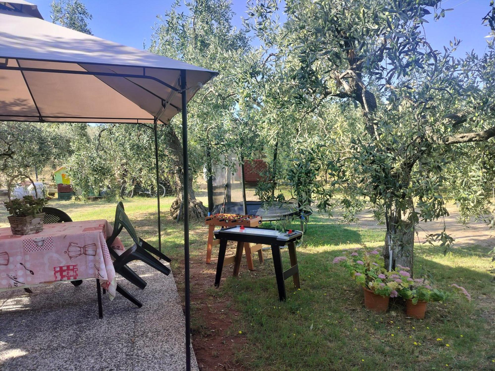 Skala Rachoni  Olive'S Houseヴィラ エクステリア 写真